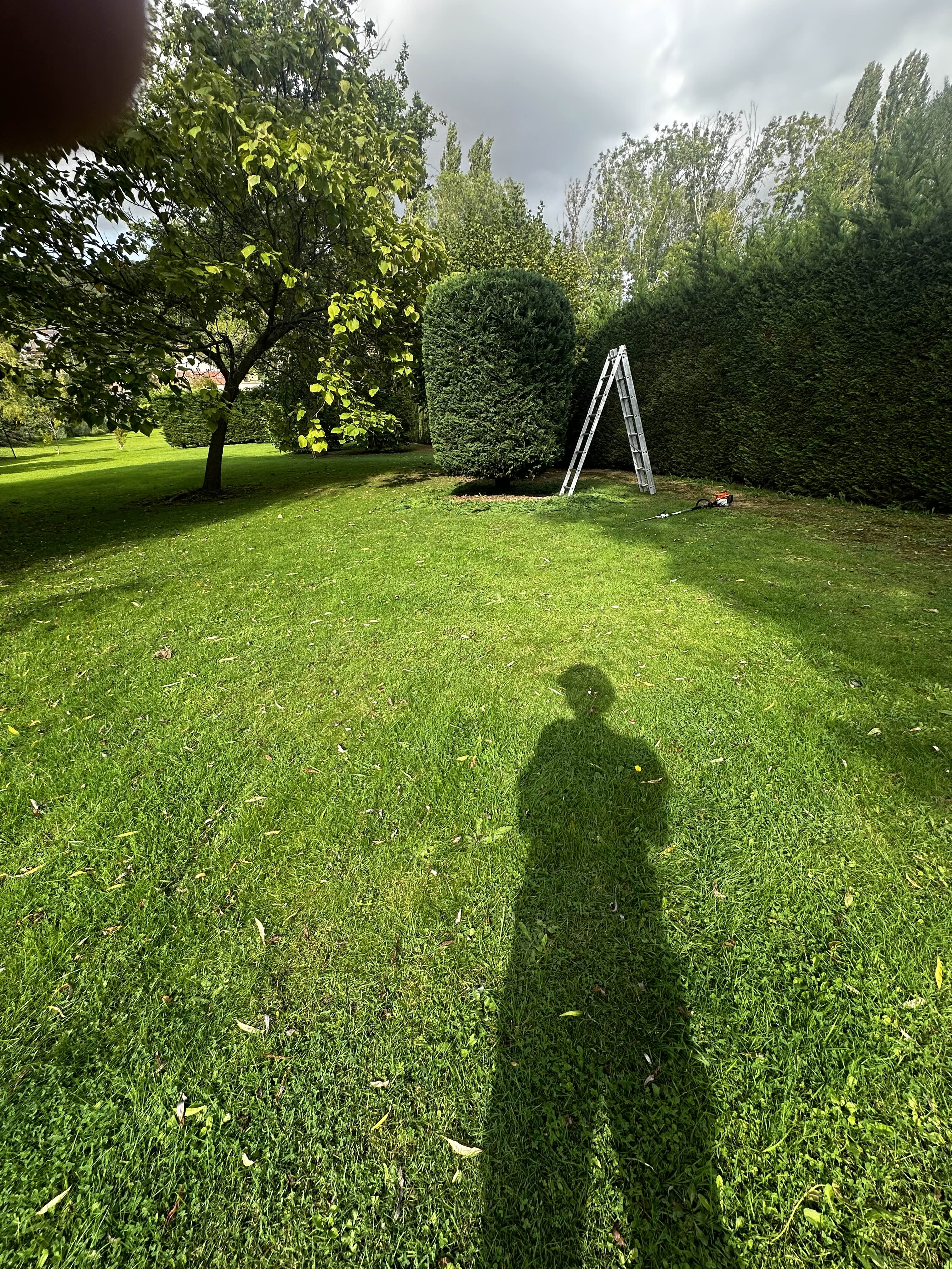 Après intervention abattage